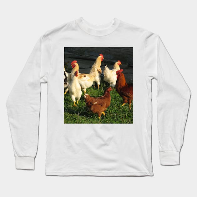 Poultry Long Sleeve T-Shirt by Parafull